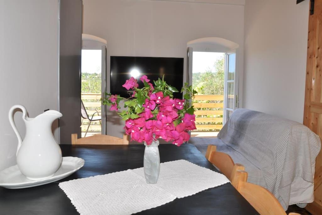 Villa Paxos Adamantia With Private Pool Gaios Dış mekan fotoğraf